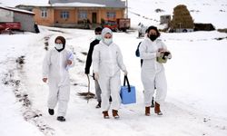 Ardahan'da sağlıkçılar kar kış dinlemiyor şifa dağıtıyor