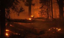 ABD'nin Colorado eyaletindeki orman yangını