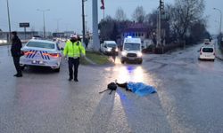 Bursa'da Araba Çarpan Kadın Hayatını Kaybetti