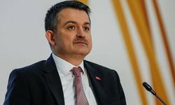 Bakan Pakdemirli'den çiftçilere müjde: Bugünden itibaren...