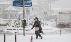 İstanbul'un bazı ilçelerinde yoğun kar yağışı etkili oluyor