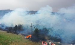 Bursa'da Ormanlık Alanda Yangın