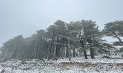 Uludağ'a İlkbahar'da Kar Yağdı!