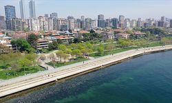 İstanbul'da deniz kirliliği: Müsilaj geri mi dönüyor?