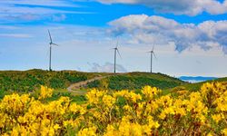 Rüzgârdan elektrik üretiminde yeni rekor