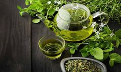 Yeşil çay neye iyi gelir? Yeşil çayın faydaları neler?