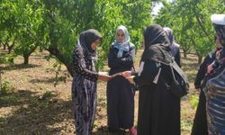 Bursa İznik'te Saadetli kadınlar çiftçileri ziyaret etti
