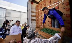 İBB, Kemerburgaz’da çiftçilere yazlık sebze fidesi dağıttı
