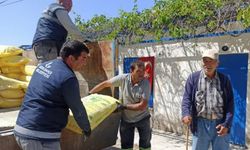 İzmir Güzelbahçe'de çiftçilere 'kükürt' desteği