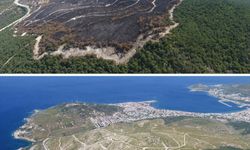 Yandıktan sonra ağaçlandırılan ormanların "öncesi ve sonrası" fotoğrafları yayınlandı