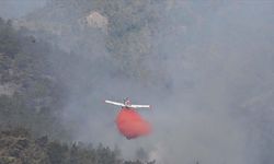Marmaris'te çıkan orman yangınına havadan müdahale ediliyor