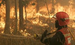 İspanya'da 30 farklı yerde orman yangını