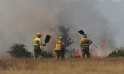 Avrupa'da orman yangınları devam ediyor