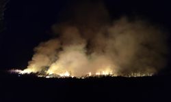 İznik Gölü Kıyısında Korkutan Yangın