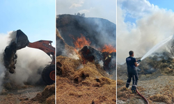 Bursa'da Hayvan Çiftliğinde Korkutan Yangın