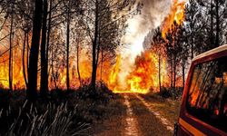 Fransa'da orman yangını: 6 bin hektar alan kül oldu