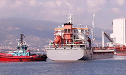 Mısır yüklü gemi Polarnet Derince Limanı'na ulaştı