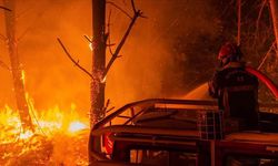 Fransa'daki yangında 3 bin hektardan fazla yeşil alan yandı