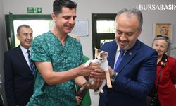 Başkan Alinur Aktaş 4 aylık yavru bir kediyi sahiplendi
