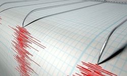 Muğla'nın Köyceğiz ilçesinde 4,8 büyüklüğünde deprem