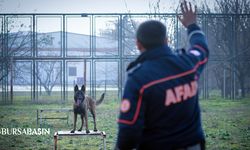AFAD Bursa İl Müdürlüğü bünyesinde 5 köpek Enkazda canlı arama eğitimi alıyor