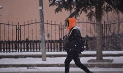Doğu Anadolu'da kar yağışı ve soğuk hava etkili oluyor