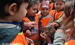 Osmangazi'de anaokulu öğrencileri Sahipsiz Hayvanları ziyaret etti