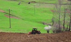 Atıl araziler tarıma dönüşüyor