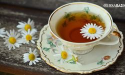 Bitki Çayının Faydaları! Hangi Bitki Çayı Neye İyi Gelir
