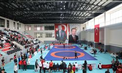 Marmara Bölgesi okul sporları güreş müsabakaları Akyazı'da yapıldı