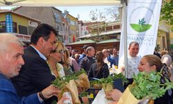Bursa Osmangazi’den tarıma 'Ata' destek