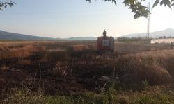 Pamukova'da çıkan yangında buğday tarlası zarar gördü