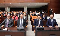 İYİ Partili Türkoğlu'na TBMM'de bir görev daha