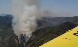 Muğla Marmaris'teki orman yangını sürüyor