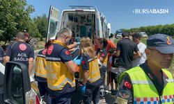 İznik'de midibüs ile tırın çarpıştığı kazada 7 kişi yaralandı