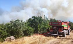 Balıkesir'de çıkan orman yangınına havadan ve karadan müdahale ediliyor