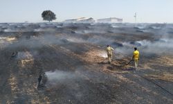 Biga'da çıkan yangında 30 dönüm ekili arazi zarar gördü
