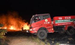Edirne'de buğday ekili alanda çıkan yangın söndürüldü