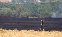 Edirne'de buğday ekili tarlada çıkan yangında 30 dönüm alan zarar gördü