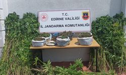 Edirne'de kaçakçılık ve uyuşturucu operasyonlarında 6 kişi gözaltına alındı
