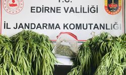 Edirne'de uyuşturucu operasyonunda 1 kişi gözaltına alındı