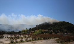 Gelibolu Yarımadası Tarihi Alan bölgesinde çıkan yangın kontrol altına alındı