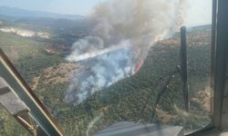 Balıkesir'in Kepsut ilçesinde orman yangını çıktı