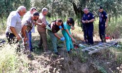 Bursa'da çukura düşerek mahsur kalan yaban domuzu kurtarıldı