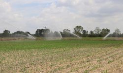 Edirne'de 22 bin 500 dekarlık tarım arazisi kapalı sistemle suya kavuşturuldu