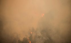 Bilecik'te çıkan orman yangınına müdahale sürüyor