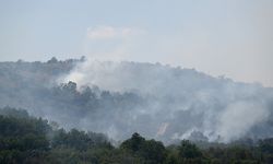 Türkiye - Bulgaristan sınırında çıkan orman yangını söndürüldü