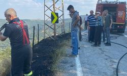 Harmancık ve Orhaneli'de buğday tarlası ile otluk alanda çıkan yangınlar söndürüldü