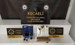 Kocaeli'de tırda 8,5 kilogram uyuşturucu ele geçirilmesine ilişkin yakalanan şüpheli tutuklandı