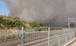 Kocaeli'de TÜBİTAK yerleşkesindeki orman yangınına müdahale ediliyor